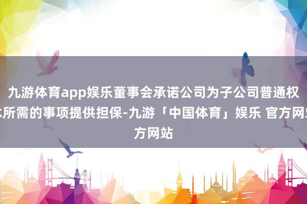 九游体育app娱乐董事会承诺公司为子公司普通权术所需的事项提供担保-九游「中国体育」娱乐 官方网站