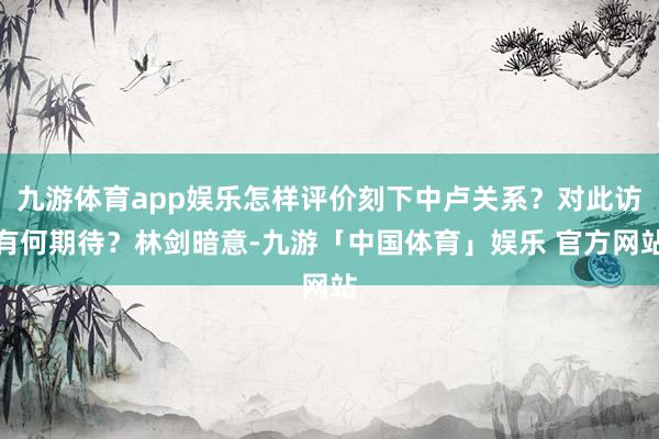 九游体育app娱乐怎样评价刻下中卢关系？对此访有何期待？林剑暗意-九游「中国体育」娱乐 官方网站